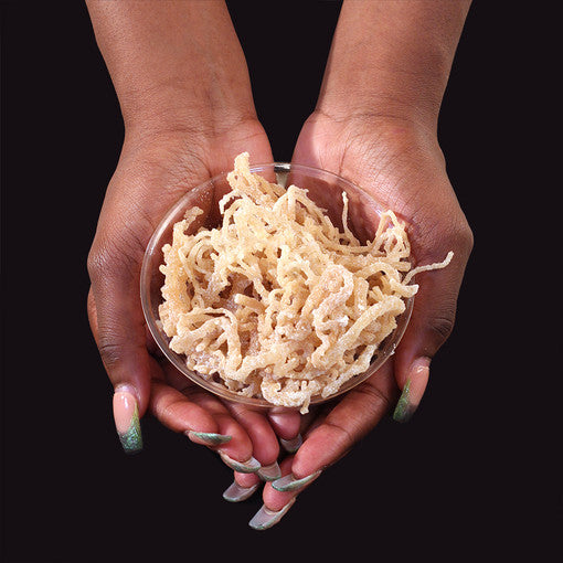 All Natural Wildcrafted Sea Moss - 1 Lb.