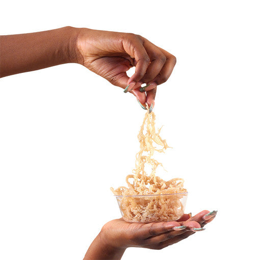All Natural Wildcrafted Sea Moss - 1 Lb.